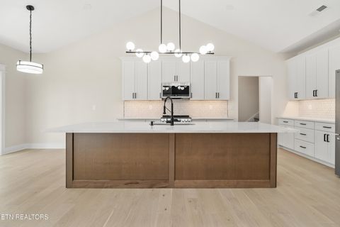 Tiny photo for 124 Nunyu Tr, Vonore, TN 37885 (MLS # 1295097)