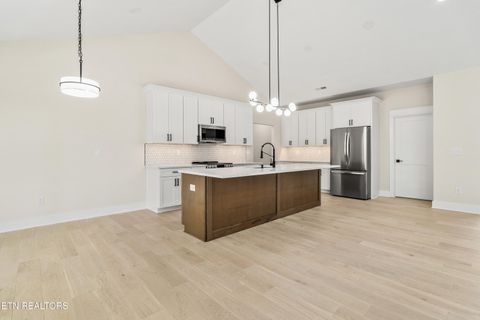 Tiny photo for 124 Nunyu Tr, Vonore, TN 37885 (MLS # 1295097)