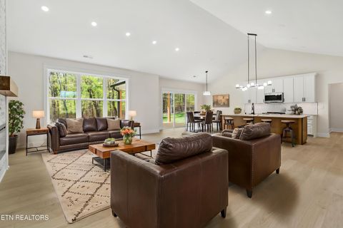 Tiny photo for 124 Nunyu Tr, Vonore, TN 37885 (MLS # 1295097)