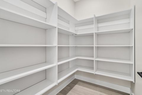 Tiny photo for 124 Nunyu Tr, Vonore, TN 37885 (MLS # 1295097)