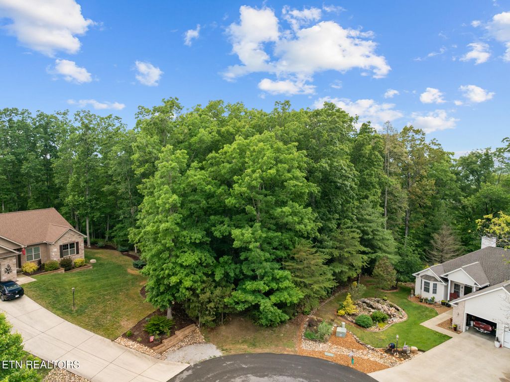 Photo of 33 Camden Court, Crossville, TN 38558 (MLS # 1342819)