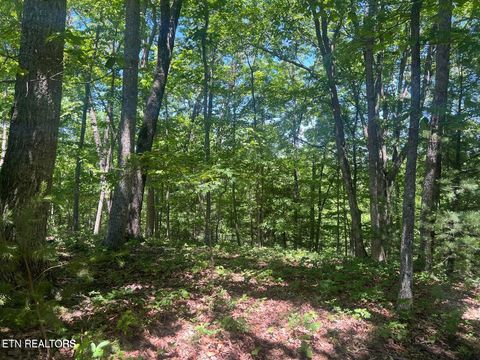 Photo of 33 Camden Court, Crossville, TN 38558 (MLS # 1342819)