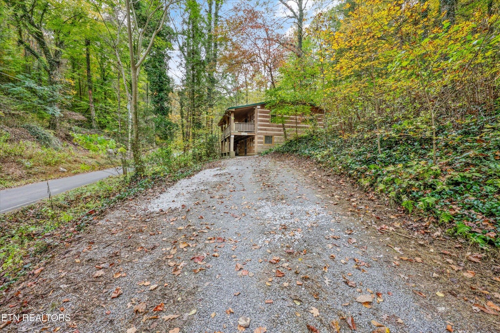 Photo of 322 Black Mash Hollow Rd, Townsend, TN 37882 (MLS # 1360438)