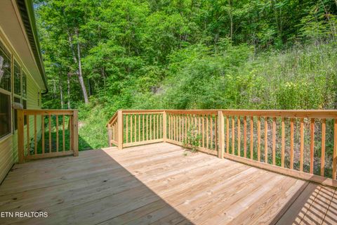 Tiny photo for 545 E Brushy Valley Drive, Powell, TN 37849 (MLS # 1341481)