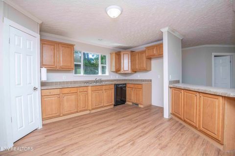 Tiny photo for 545 E Brushy Valley Drive, Powell, TN 37849 (MLS # 1341481)