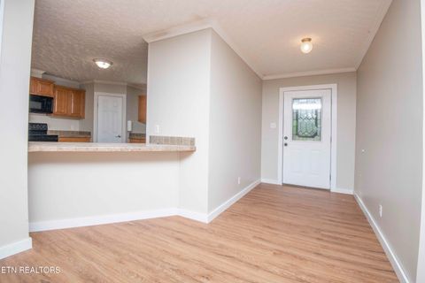 Tiny photo for 545 E Brushy Valley Drive, Powell, TN 37849 (MLS # 1341481)