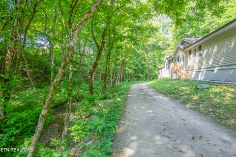 Tiny photo for 545 E Brushy Valley Drive, Powell, TN 37849 (MLS # 1341481)