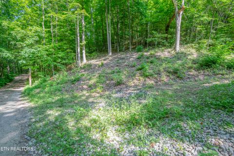 Tiny photo for 545 E Brushy Valley Drive, Powell, TN 37849 (MLS # 1341481)