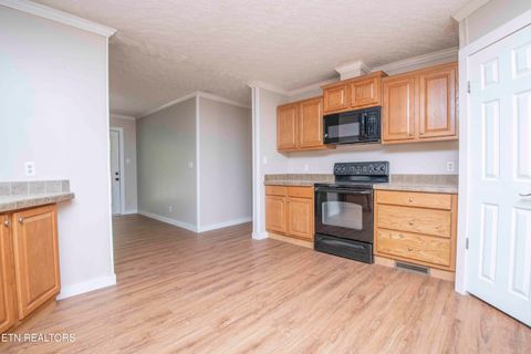 Tiny photo for 545 E Brushy Valley Drive, Powell, TN 37849 (MLS # 1341481)