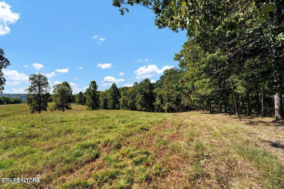 0 Jim Luttrell Lane