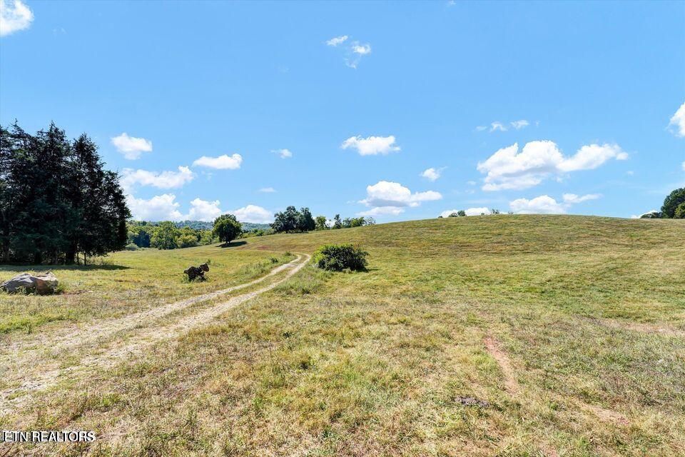 0 Jim Luttrell Lane