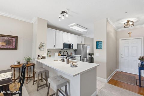 Tiny photo for 555 Rarity Bay Pkwy #204, Vonore, TN 37885 (MLS # 1335591)