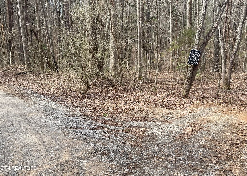 Photo of New Providence Rd, Tellico Plains, TN 37385 (MLS # 1292758)