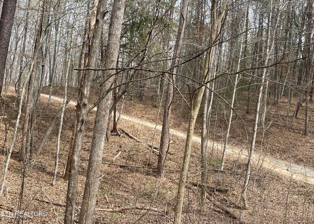 Photo of New Providence Rd, Tellico Plains, TN 37385 (MLS # 1292758)