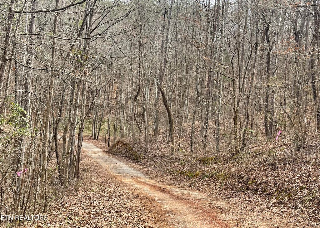 Photo of New Providence Rd, Tellico Plains, TN 37385 (MLS # 1292758)