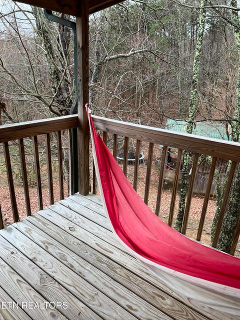 Tiny photo for 1196 Iris Way, Cosby, TN 37722 (MLS # 1317058)