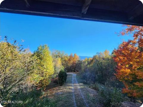 Tiny photo for 1196 Iris Way, Cosby, TN 37722 (MLS # 1317058)