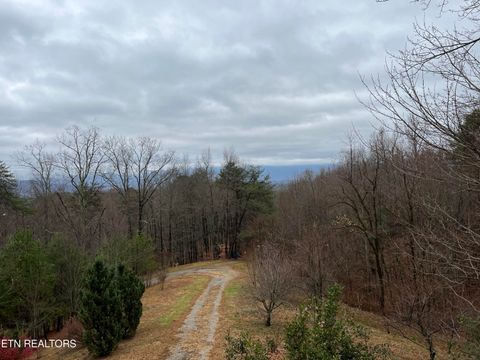 Tiny photo for 1196 Iris Way, Cosby, TN 37722 (MLS # 1317058)