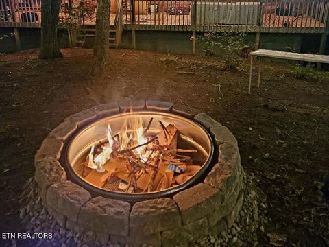Tiny photo for 1196 Iris Way, Cosby, TN 37722 (MLS # 1317058)