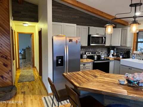 Tiny photo for 1196 Iris Way, Cosby, TN 37722 (MLS # 1317058)