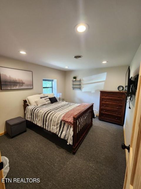 Tiny photo for 1196 Iris Way, Cosby, TN 37722 (MLS # 1317058)