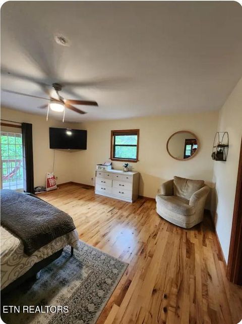 Tiny photo for 1196 Iris Way, Cosby, TN 37722 (MLS # 1317058)