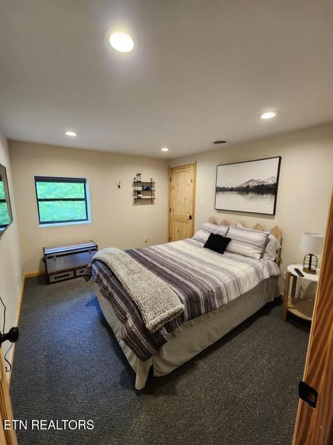 Tiny photo for 1196 Iris Way, Cosby, TN 37722 (MLS # 1317058)