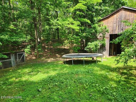 Tiny photo for 1196 Iris Way, Cosby, TN 37722 (MLS # 1317058)