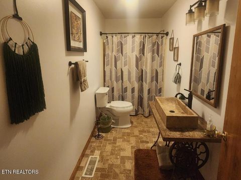 Tiny photo for 1196 Iris Way, Cosby, TN 37722 (MLS # 1317058)