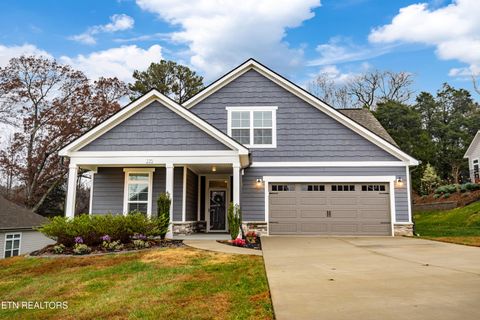 Photo of 225 Cedar Branch Tr, Lenoir City, TN 37772 (MLS # 1322713)
