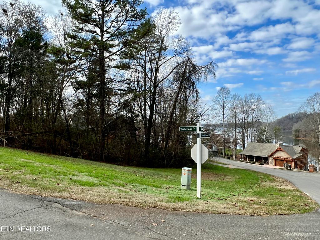 Photo of 213 Northshore Drive, Greenback, TN 37742 (MLS # 1299517)