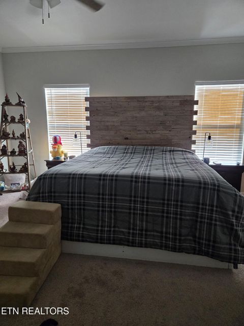 Tiny photo for 923 Reed Bull Rd Rd, New Market, TN 37820 (MLS # 1318667)