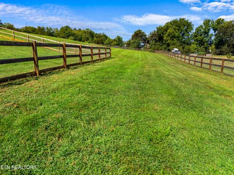 Tiny photo for 923 Reed Bull Rd Rd, New Market, TN 37820 (MLS # 1318667)