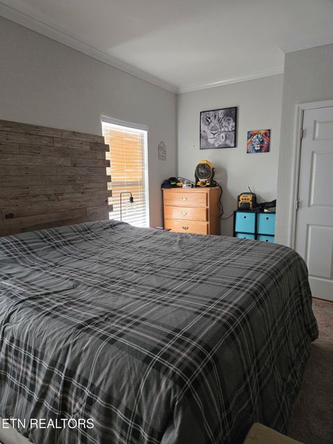 Tiny photo for 923 Reed Bull Rd Rd, New Market, TN 37820 (MLS # 1318667)