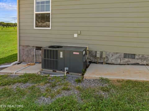 Tiny photo for 923 Reed Bull Rd Rd, New Market, TN 37820 (MLS # 1318667)