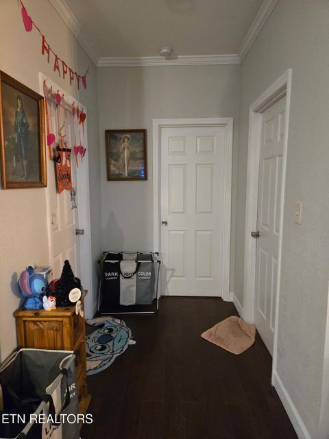 Tiny photo for 923 Reed Bull Rd Rd, New Market, TN 37820 (MLS # 1318667)
