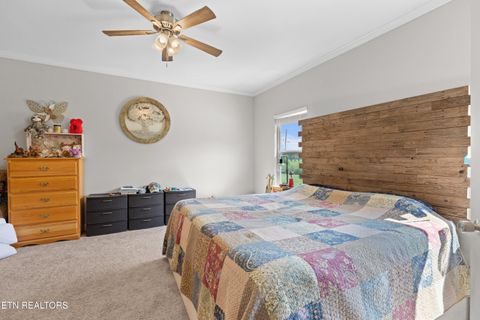 Tiny photo for 923 Reed Bull Rd Rd, New Market, TN 37820 (MLS # 1318667)