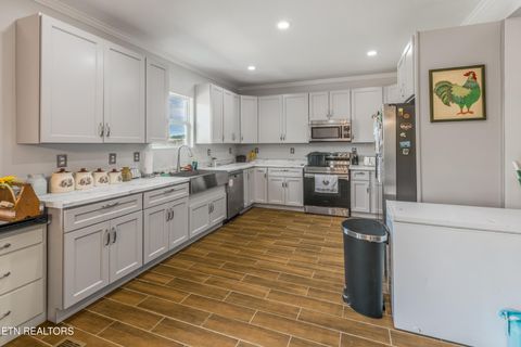 Tiny photo for 923 Reed Bull Rd Rd, New Market, TN 37820 (MLS # 1318667)