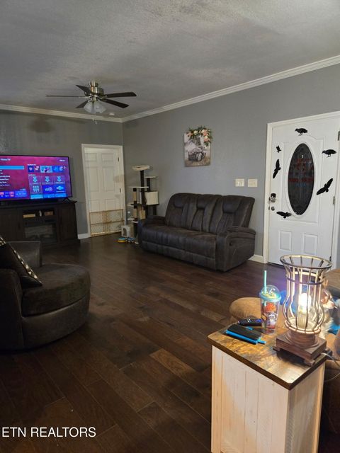 Tiny photo for 923 Reed Bull Rd Rd, New Market, TN 37820 (MLS # 1318667)