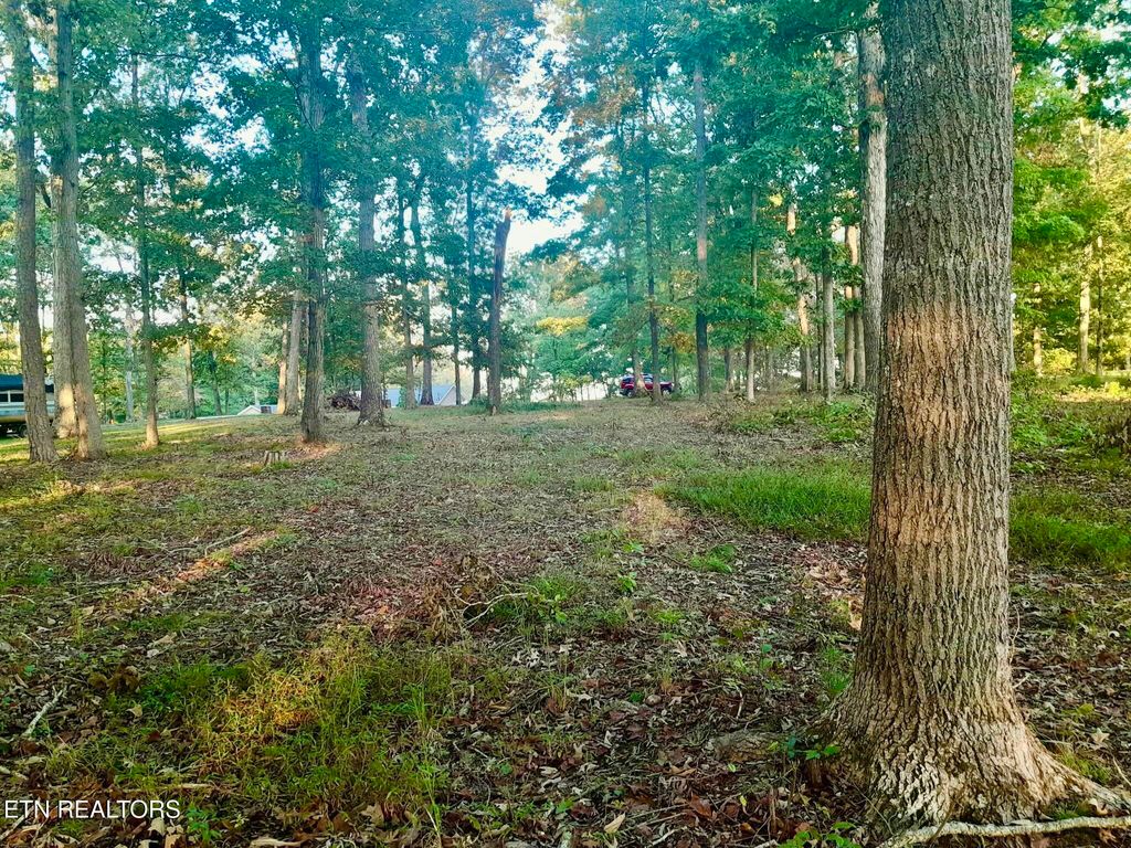 Photo of 2221 Ted Moore Rd, Dandridge, TN 37725 (MLS # 1292769)