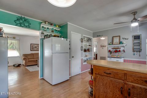 Tiny photo for 118 Cedar Circle, Decatur, TN 37322 (MLS # 1318701)