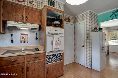 Tiny photo for 118 Cedar Circle, Decatur, TN 37322 (MLS # 1318701)