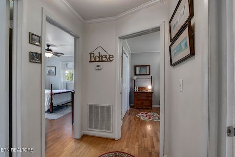 Tiny photo for 118 Cedar Circle, Decatur, TN 37322 (MLS # 1318701)