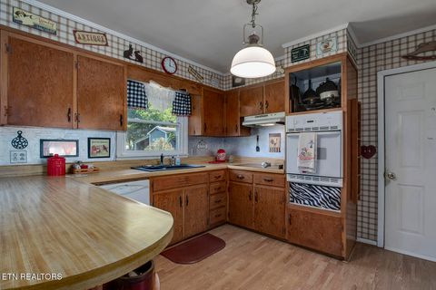 Tiny photo for 118 Cedar Circle, Decatur, TN 37322 (MLS # 1318701)