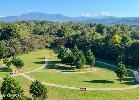 Tiny photo for 124 Plaza Drive #UNIT 3704, Pigeon Forge, TN 37863 (MLS # 1353878)