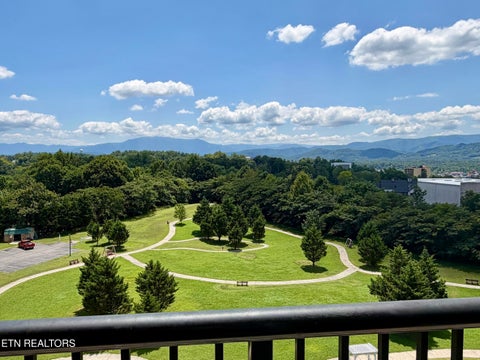 Tiny photo for 124 Plaza Drive #UNIT 3704, Pigeon Forge, TN 37863 (MLS # 1353878)
