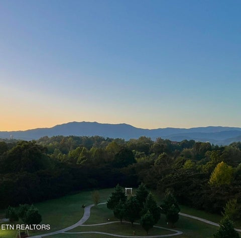 Tiny photo for 124 Plaza Drive #UNIT 3704, Pigeon Forge, TN 37863 (MLS # 1353878)