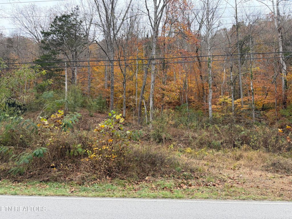 Photo of Stinking Creek Rd, LaFollette, TN 37766 (MLS # 1321301)
