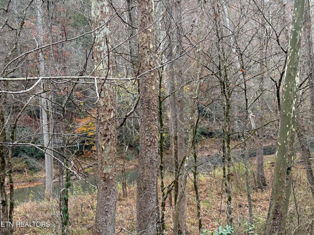 Photo of Stinking Creek Rd, LaFollette, TN 37766 (MLS # 1321301)