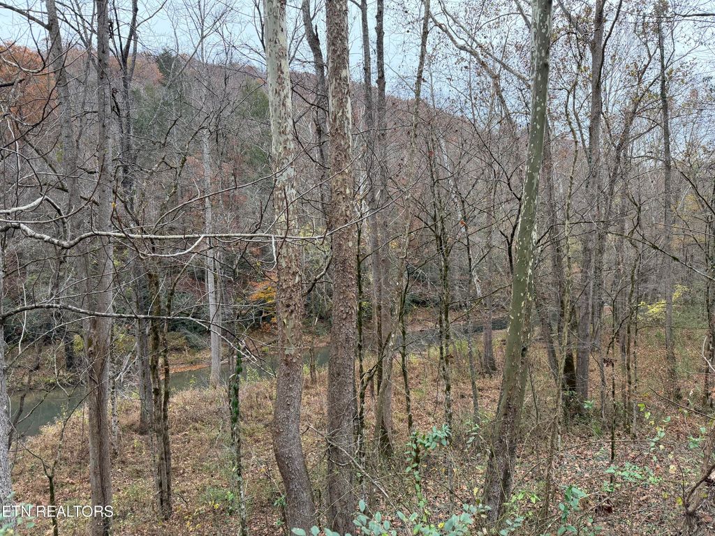 Photo of Stinking Creek Rd, LaFollette, TN 37766 (MLS # 1321301)